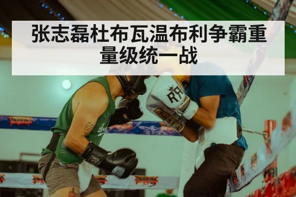张志磊杜布瓦温布利争霸重量级统一战